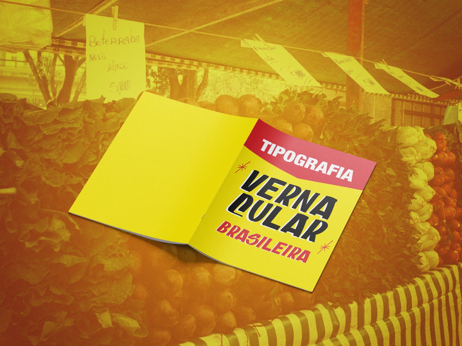 Cartilha de Tipografia Vernacular — 15